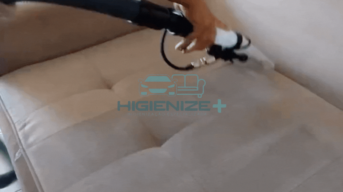 Limpeza Especializada